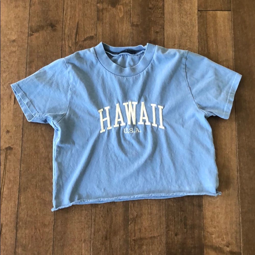 brandy melville blue hawaii crop top